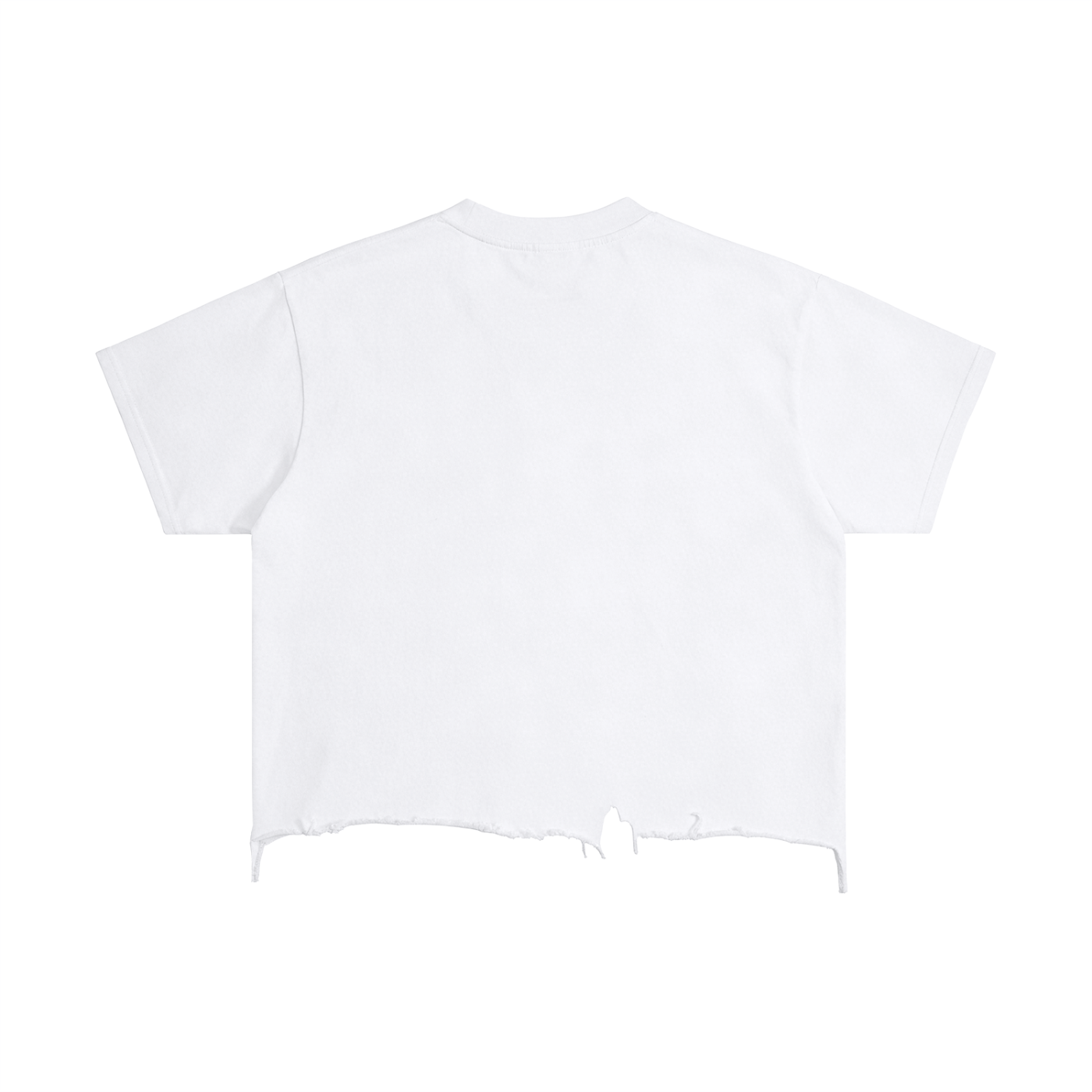 VintageBoxy Distressed Tee - White